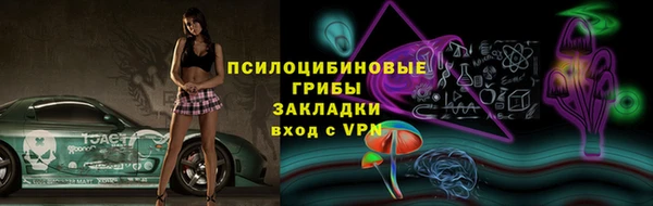 гашик Армянск