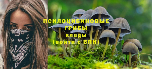 гашик Армянск