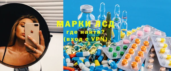 стаф Новодвинск