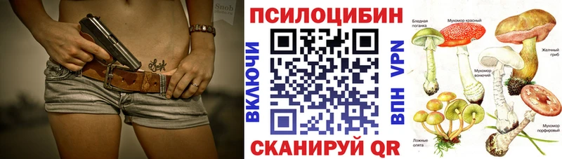 KRAKEN как зайти  Протвино  Галлюциногенные грибы Psilocybine cubensis 